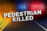 57-Year-Old Susan Alice Johnson-Cline Killed In Lake, CA Accident