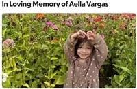 3-Year-Old Aella Vargas Killed in Near Elk Grove, CA Accident